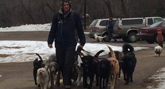 Dog Walking